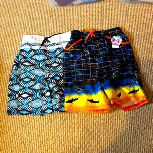 Swim shorts , swim trunks , board shorts